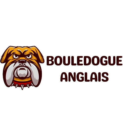 Bouledogue Anglais